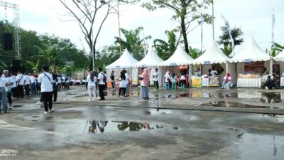 Peringati HUT yang Ke-25, Kementerian BUMN Gelar Jalan Sehat Bersama di Wonosobo Jawa Tengah