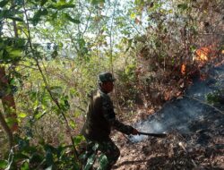 Kebakaran Hutan Berhasil Dipadamkan oleh Team Relawan